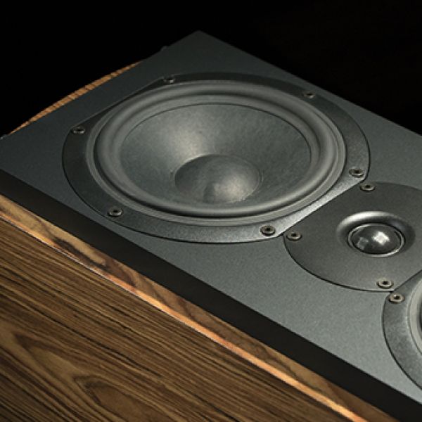 black speaker wood inlay audio