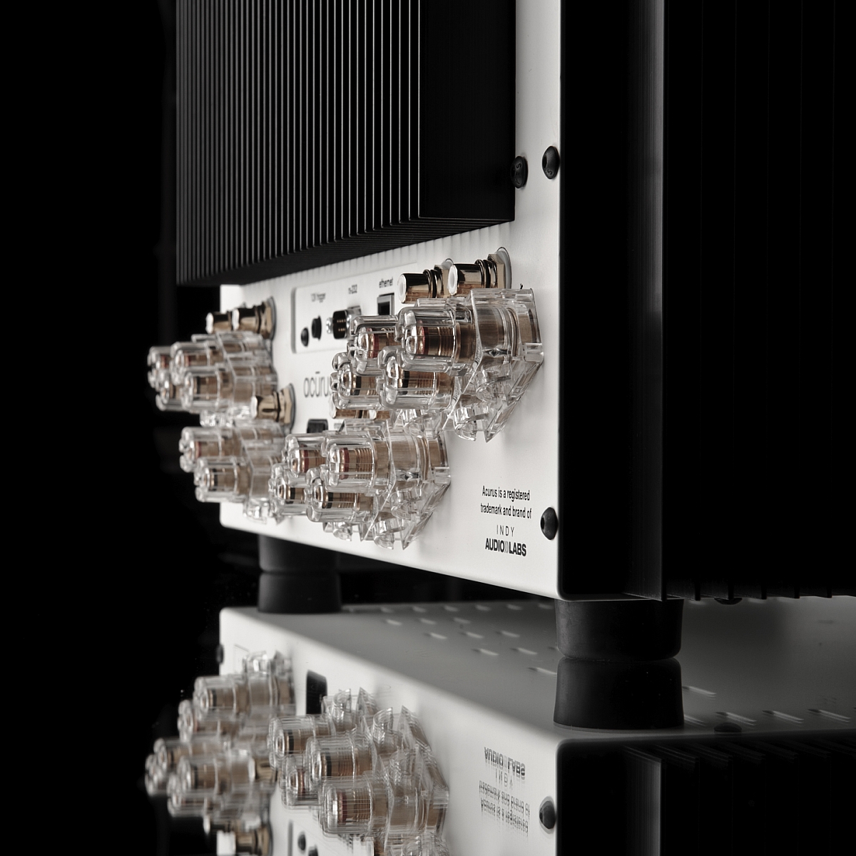 Acurus Speaker A2007 IAL detail