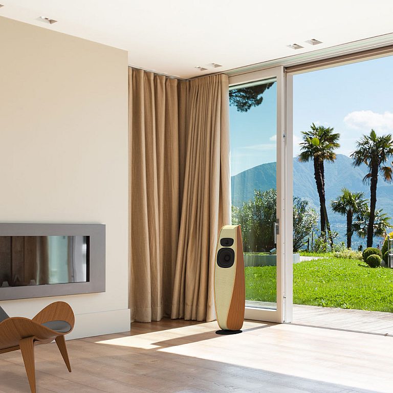 Living room speakers